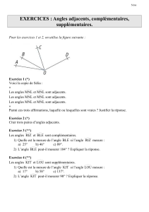 EXERCICES : Angles adjacents, complémentaires, supplémentaires.