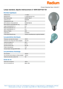 Lampe standard, dépolie intérieurement A 100W/230/F/E27 EX