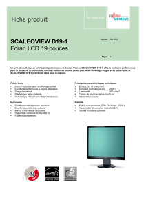SCALEOVIEW D19-1 Ecran LCD 19 pouces