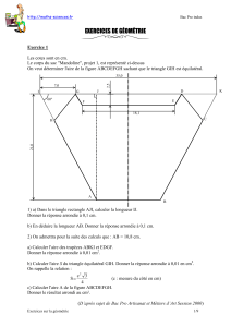 Exercices 2 document pdf 329 ko - Maths