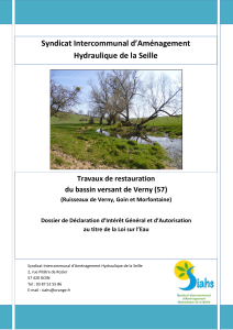 Programme pour la renaturation de la masse d`eau de Verny
