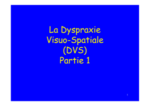 La Dyspraxie Visuo-Spatiale