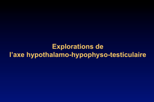 Explorations de l`axe hypothalamo-hypophyso-testiculaire