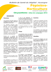 BSV Pépinière-horticulture 2012 n°08