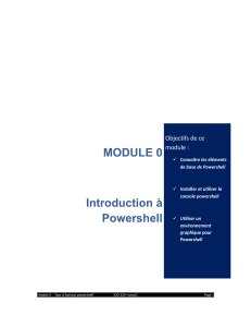 MODULE 0 Introduction à Powershell