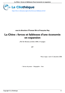 La Chine : forces et faiblesses d`une économie en