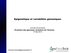 Epigénétique et variabilités génomiques