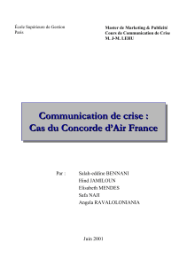 Communication de crise : Cas du Concorde d`Air France