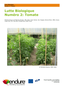 Biocontrol Number Two_Tomato - endure
