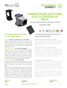 connecteurs keystone rj45 categorie 6a mk6a
