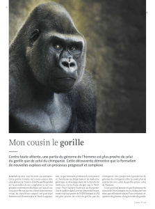 Mon cousin le gorille - Université de Genève