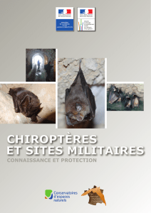 Chiroptères et sites militaires - Plan National d`Actions Chiroptères