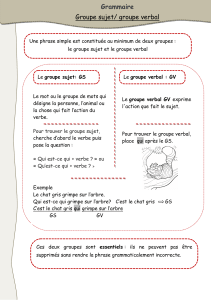 Grammaire Groupe sujet/ groupe verbal