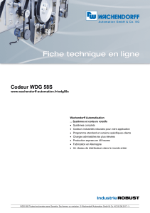 Codeur WDG 58S
