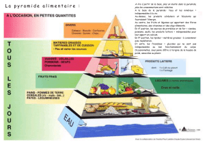 La pyramide alimentaire :