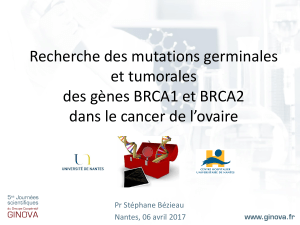 BRCA1 - ginova