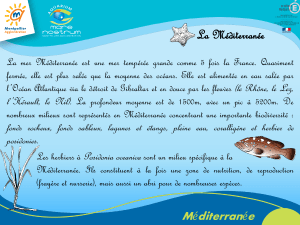 Méditerranée - Aquarium Mare Nostrum