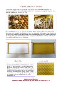 Loi d`Ohm, effet Joule et…apiculture Cadre filé... … puis gaufré