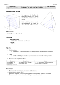 Fiche prof et eleve section tetraedre-cube