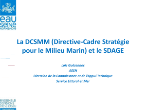 dcsmm/ sdage - Agence de l`Eau Seine