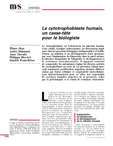 Le cytotrophoblaste humain, un casse-tête pour le - iPubli