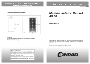 Module solaire Sunset AS 80