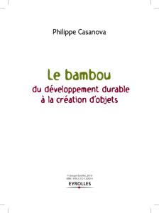 Le Bambou : du développement durable à la création d