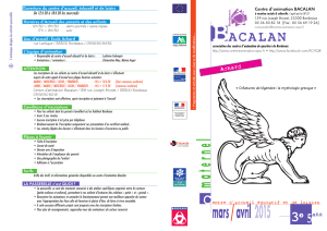BACALAN + prog 6/11 prim - Association des centres d`animation de
