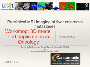 Workshop: 3D model and applications in Oncology Preclinical MRI Imaging of liver colorectal