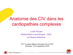 Anatomie des CIV dans les cardiopathies complexes Lucile Houyel – M3C