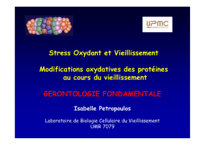 Stress Oxydant et Vieillissement (Isabelle Petropoulos)