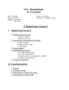 UE2 - Biopathologie  Pr. Fernandez