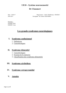 D1-UE10-Choumert-Sd_confusionnel-10.03.17-pdf