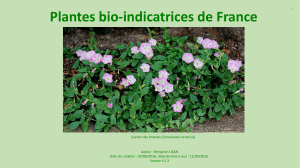 Plantes bio-indicatrices de France
