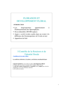floraison.pdf