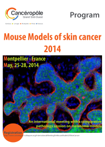 Mouse Models of skin cancer 2014 Program M