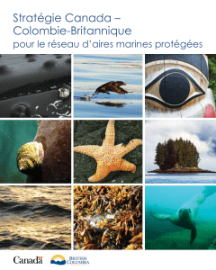 Stratégie Canada – Colombie-Britannique pour le réseau d’aires marines protégées
