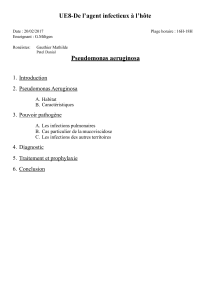 UE8-De l’agent infectieux à l’hôte Pseudomonas aeruginosa 1. Introduction 2. Pseudomonas Aeruginosa