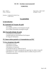 D1-UE10-Diotel-La_gustation-10.02.17-pdf