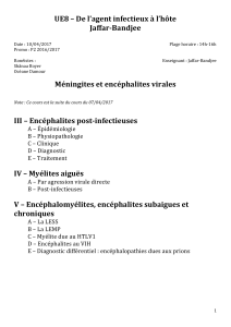 P2-UE8-Jaffar_Bandjee-Méningites_et_encéphalites_virales(suite)_10.04.2017