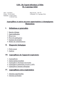 UE8-Lagrange-Aspergillose et autres mycoses opportunistes à champignon filamenteux (word)