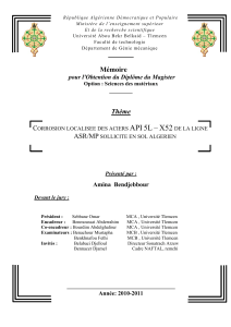Memoire-Bendjebbour.pdf