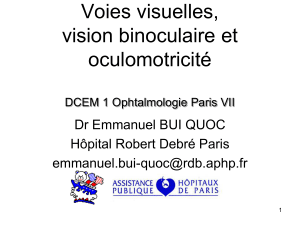 Voies visuelles, vision binoculaire et oculomotricité