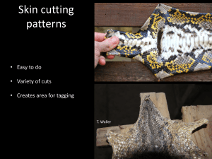 Skin cutting patterns • Easy to do