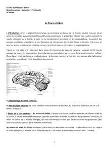 Le tronc cérébral (PDF, 1.18 Mo)