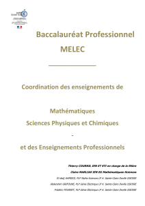 8795-bac-pro-melec-coordination-sciences-physiques-et-chimiques-enseignements-prof.docx