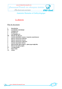 Anatomie Humaine et Embryologique Le pharynx Plan du document: