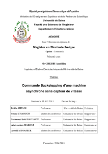 Magister en Electrotechnique République Algérienne Démocratique et Populaire Département d’Electrotechnique MEMOIRE