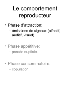 Le comportement reproducteur • Phase d’attraction: • Phase appétitive: