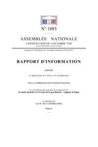 N° 1085 ASSEMBLÉE   NATIONALE RAPPORT D’INFORMATION